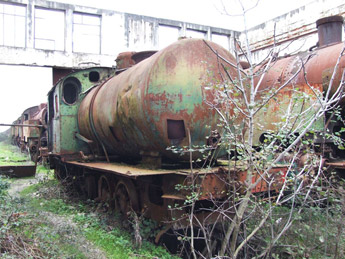 ''Fireless'' Nr:31 në Shkozet