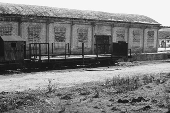 Dy-aksësh me kangjela të lëvizshme Nr:7702