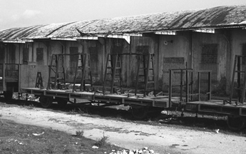 Dy-aksësh me kangjela të lëvizshme Nr:7748